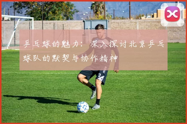 乒乓球的魅力：深入探讨北京乒乓球队的默契与协作精神
