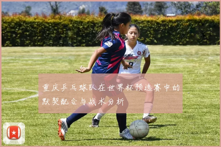 重庆乒乓球队在世界杯预选赛中的默契配合与战术分析