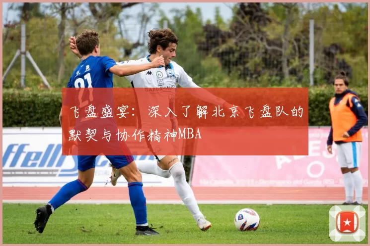 飞盘盛宴：深入了解北京飞盘队的默契与协作精神MBA